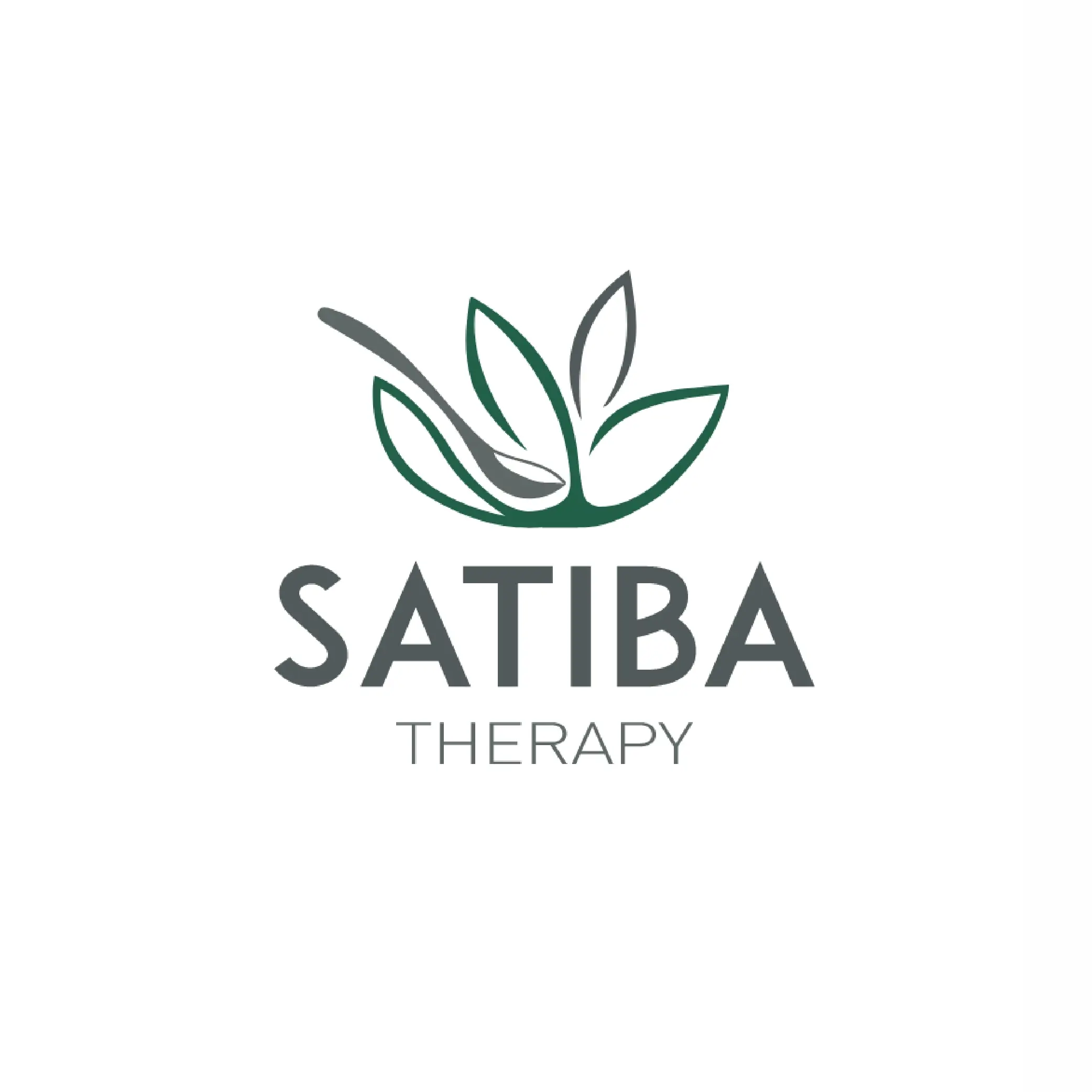 satiba therapy vegan food