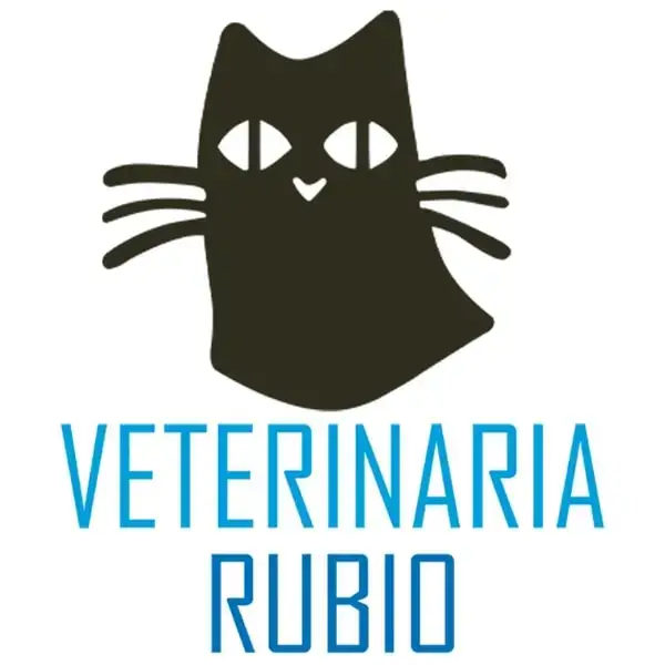 veterinaria rubio centro sanitario felino